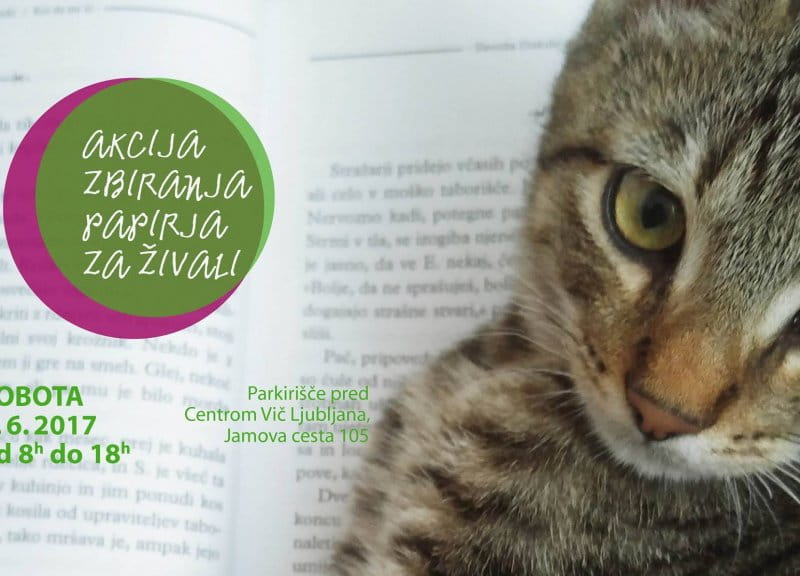 19. Akcija zbiranja papirja za pomoč živalim v zavetišču