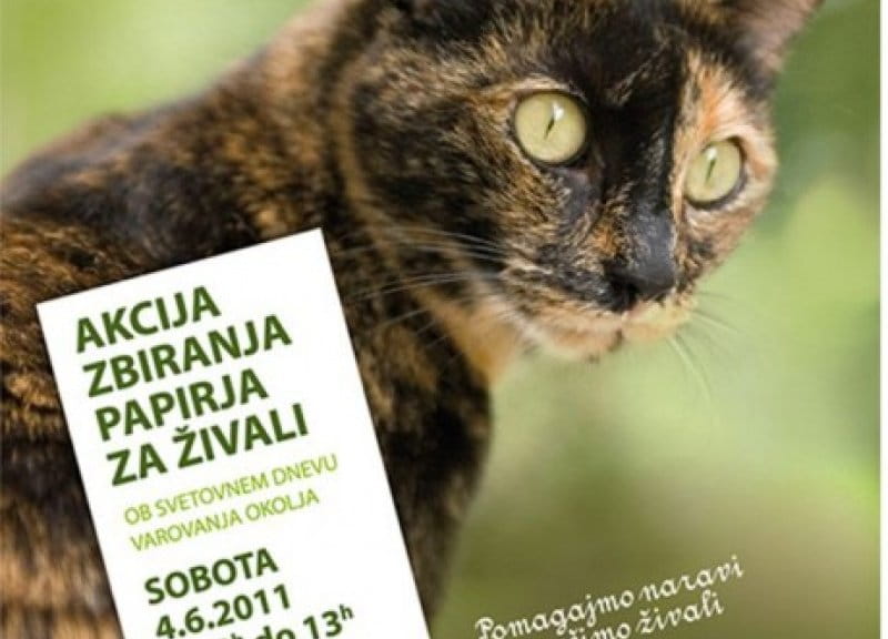Akcija zbiranja papirja za živali
