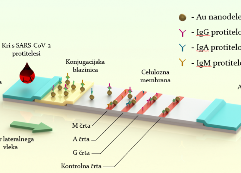 LFIA-REC, Recikliranje hitrih antigenskih LFIA testov (COVID-19)