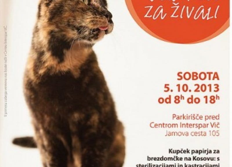 Pomagajmo zbirati odpadni papir za živali