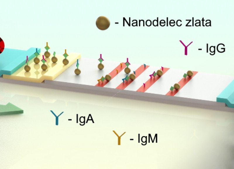 Surovina partner projekta LFIA-REC - Recikliranje hitrih antigenskih LFIA testov (COVID-19)
