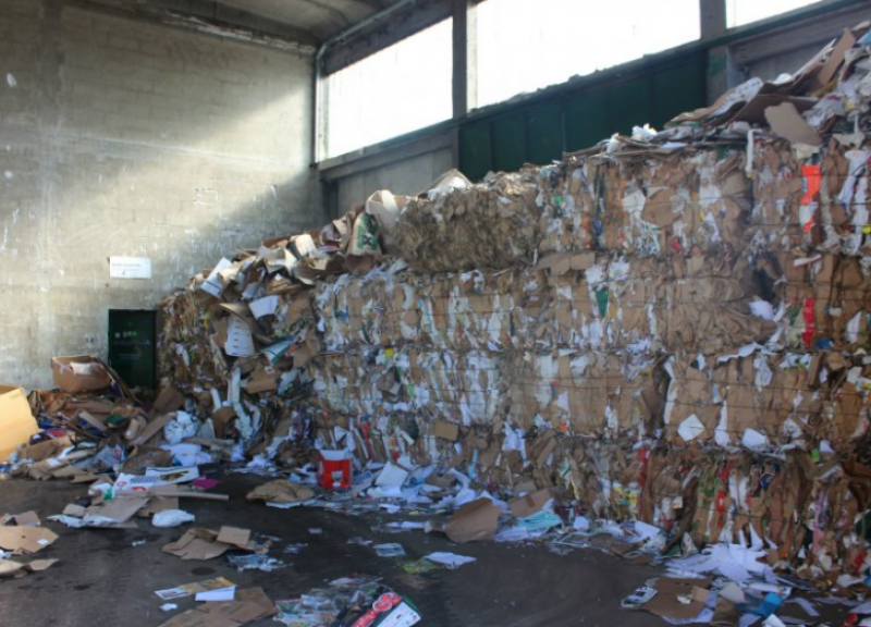 Za zavržene živali smo zbrali dobrih 10 ton papirja